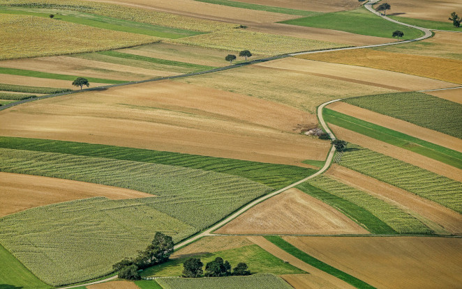 Catia Bastioli tra gli speaker della tavola rotonda sulla bioeconomia circolare ospitata dal Principe del Galles